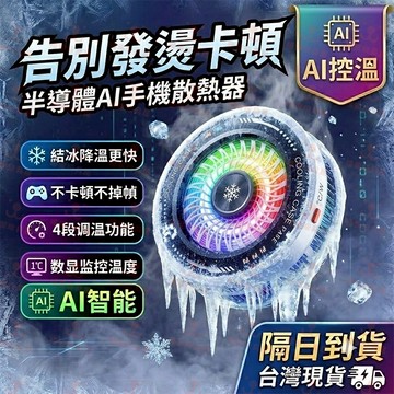 隔日達免運 磁吸散熱器 手機散熱器 急速降溫 平闆散熱器 結冰散熱器 手機冷卻器 手機降溫器 散熱器 製冷散熱
