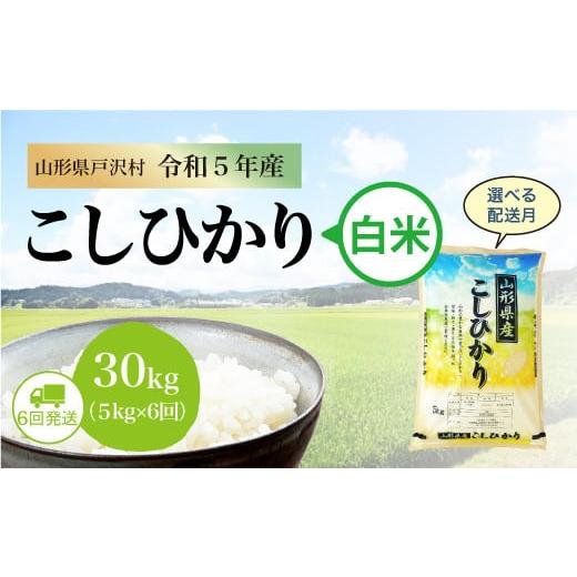 令和5年産 コシヒカリ  定期便 30?（5kg×1カ月間隔で6回お届け） ＜配送時期指定可＞ 山形県 戸沢村