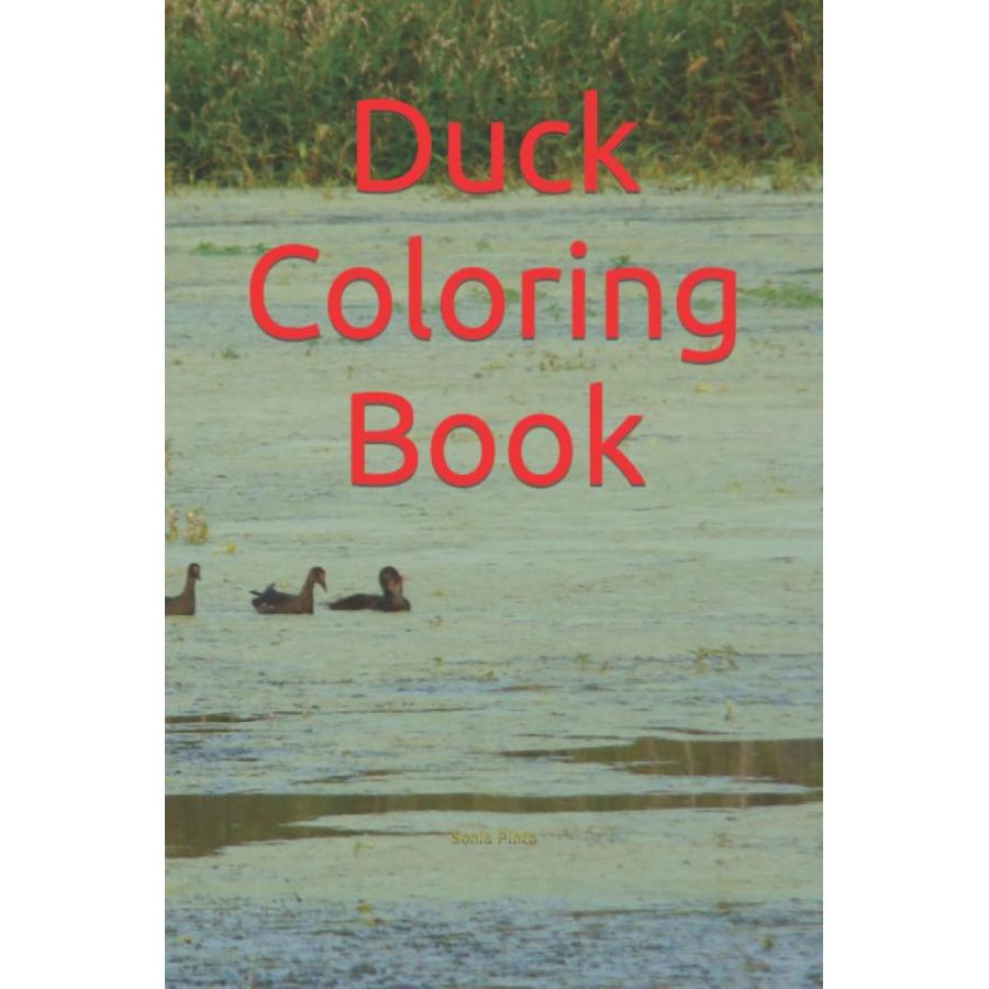 Duck Coloring Book