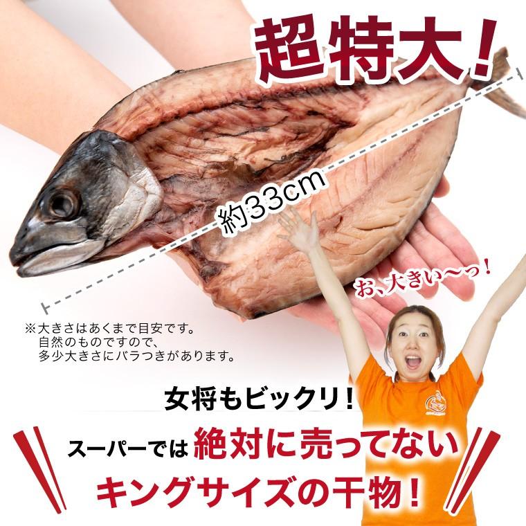 特大 サバ 干物 1尾 巨大 キング さば 鯖 干物セット 真空パック 一夜干し 一夜干し魚 一夜干しセット ((冷凍))