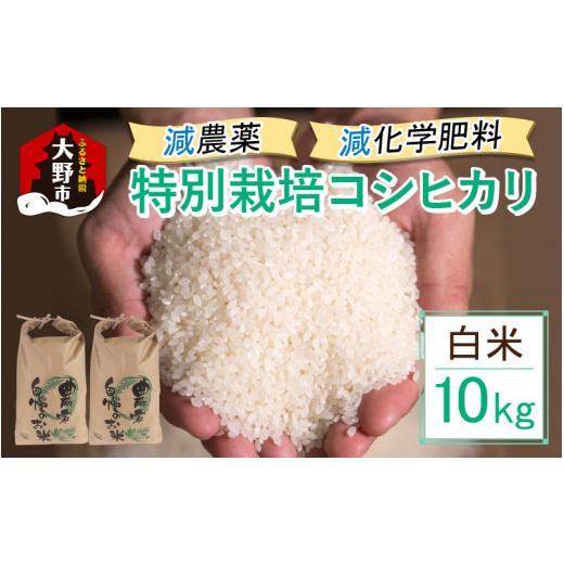 ふるさと納税 福井県 大野市 減農薬・減化学肥料の特別栽培コシヒカリ 白米 10kg（5kg×2）農家直送