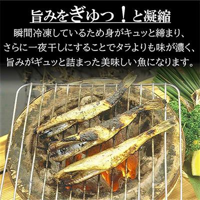 ふるさと納税 北見市 北海道産 生干しこまい(1kg×4箱セット)