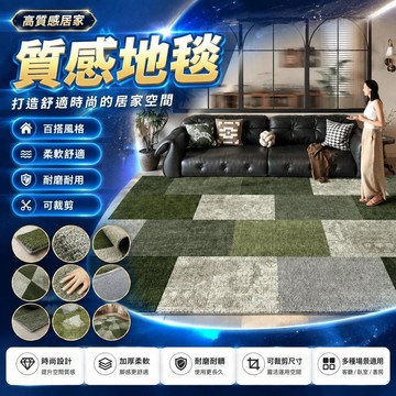 🤩免運🌟台灣出貨🌟客廳地毯沙發茶几毯高級感大面積滿鋪書房臥室進門門墊可裁剪