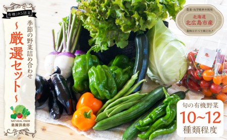 季節の野菜 詰め合わせ 10種類～12種類程度 有機野菜セットA 北海道北広島市