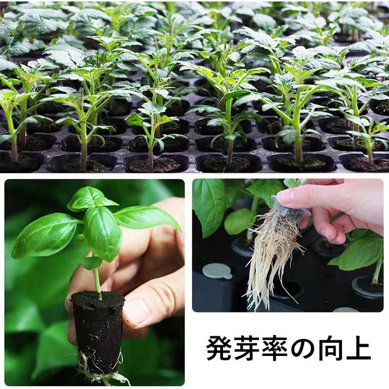 育苗ポット植物育成ライト付き セット 育苗トレイ 育苗箱 12穴 種子トレイ 発芽 育苗セット 種まきハウス 苗箱 種まき器 育苗ボック