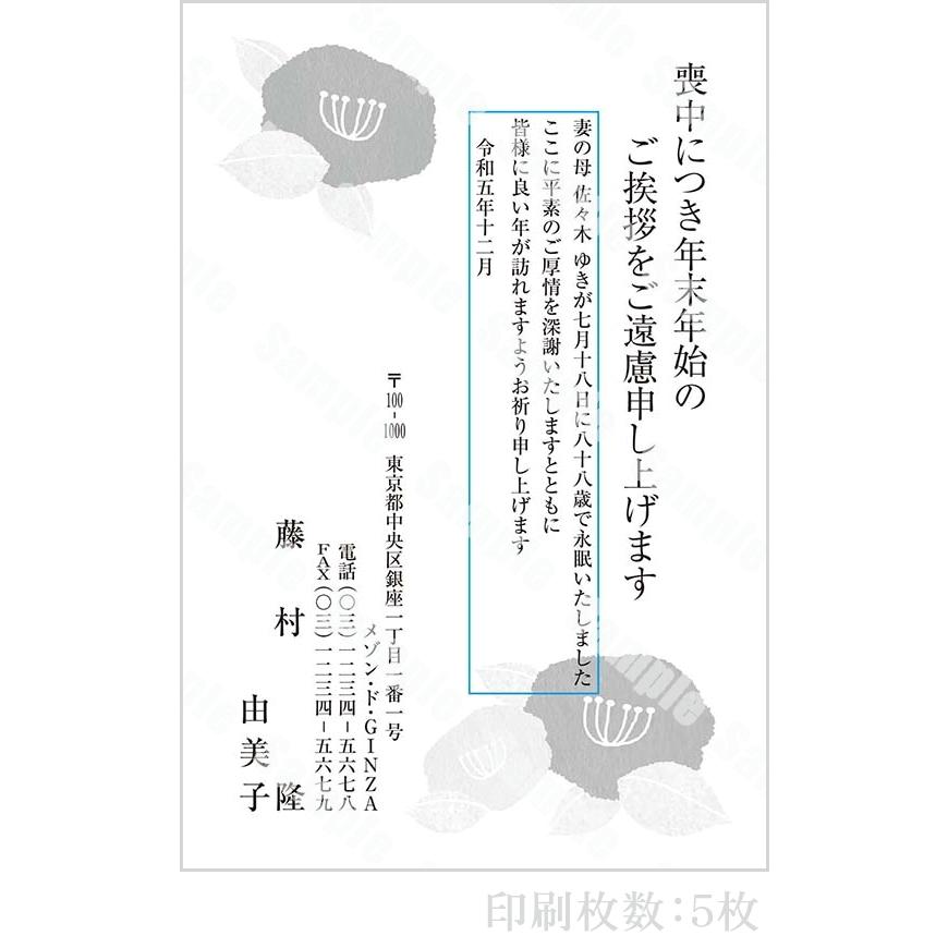 全96柄 2024年度版 喪中はがき印刷 普通郵便はがき「胡蝶蘭」 5枚 特選デザイン 62044_5 8337546