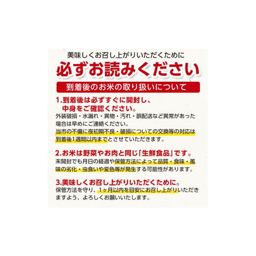 ふるさと納税 山形県 鶴岡市 新米工藤さんの特別栽培米 雪若丸無洗米 10kg（5kg×2袋）×3回（計30kg）