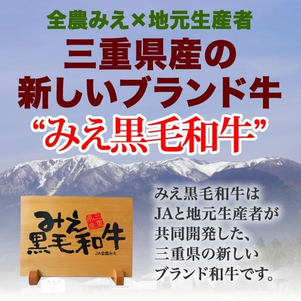 みえ黒毛和牛リブロースブロック＜300g＞ 三重県 黒毛和牛 ブランド牛 ロース ブロック肉 ステーキ