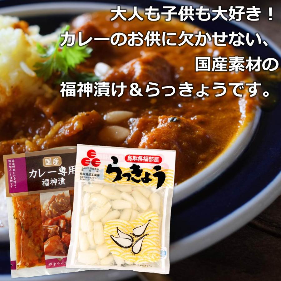 国産 カレー専用 福神漬 ＆ 鳥取砂丘らっきょう メール便 送料無料 国産 漬物 福神漬け らっきょう