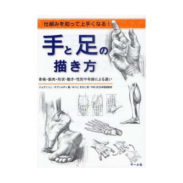 手と足の描き方 仕組みを知って上手くなる 骨格・筋肉・形状・動き・性別や年齢による違い