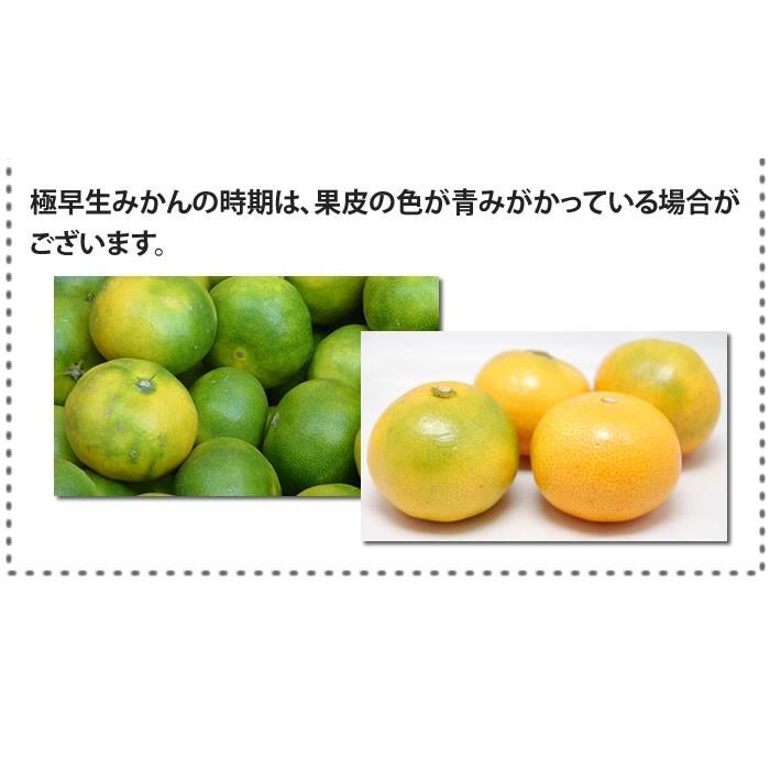 みかん 送料無料 10kg 訳あり 内容量9kg 補償分500g  規格外 サイズ不選別 熊本県産  温州 は大玉傾向 ミカン 蜜柑 ご自宅用 ポイント消化