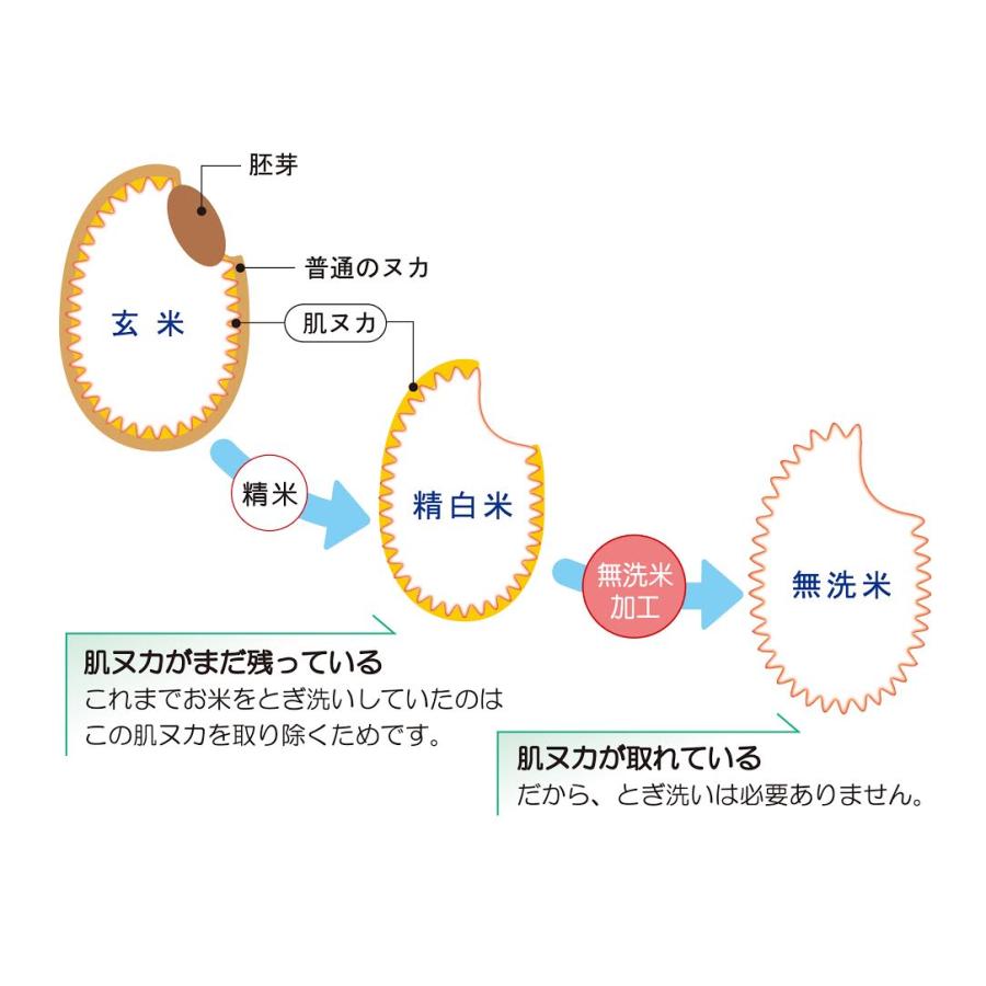 無洗米 24kg「５年産 茨城あきたこまち 一等米 無洗米24kg(8kg×3)」送料無料