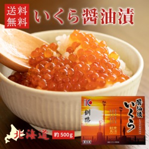 北海道産 鮭 いくら醤油漬け 500g（250g×2パック） イクラ さけ サケ 送料無料