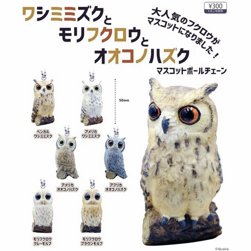 ワシミミズクとモリフクロウとオオコノハズクマスコットボールチェーン 全6種セット コンプ コンプリート 通販 Lineポイント最大0 5 Get Lineショッピング