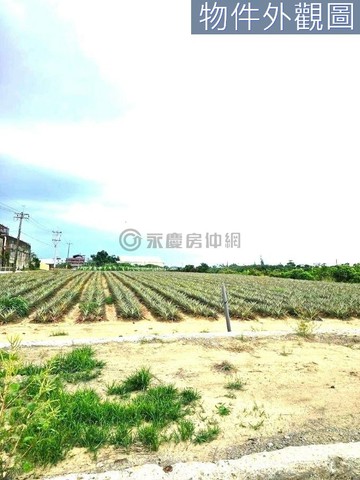 高雄大樹姑山倉庫臨25米路甲種建地+農地｜高雄市大樹區大庄段