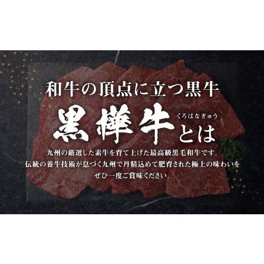 ふるさと納税 熊本県 高森町 くまもと黒毛和牛 杉本本店 黒樺牛 A4~A5等級 モモステーキ 100g×10 計1kg