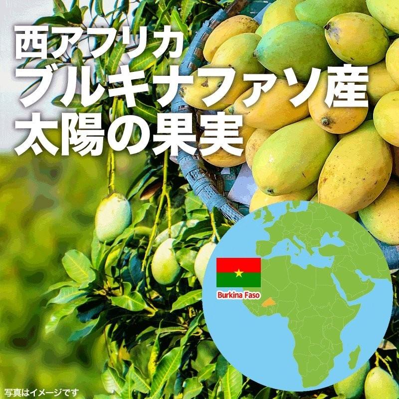 無添加 ドライマンゴー 砂糖不使用 100g×1袋 同梱2袋(4000円)で＋１袋おまけ付きに メール便限定送料無料