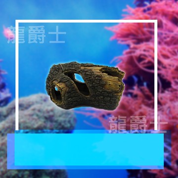 ✨現貨✨[龍爵士水族]精緻樹幹 大、小 裝飾品 造景 擺飾 飾品 擺件 魚缸造景 魚缸擺飾 魚躲藏