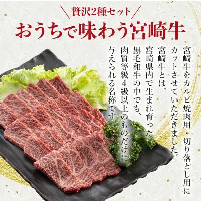 ふるさと納税 宮崎市 宮崎牛 贅沢2種セット 合計800g(カルビ焼肉・バーベキュー用400g・切り落とし400g)