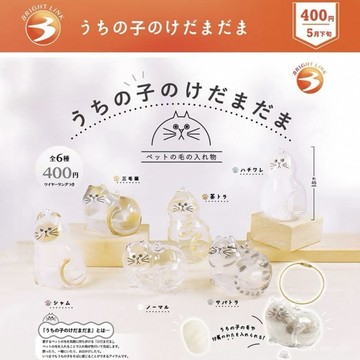 新店補貼！限時💖日本正版BRIGHT LINK 透明貓毛收納盒吊飾扭蛋 貓咪毛整體衣櫃