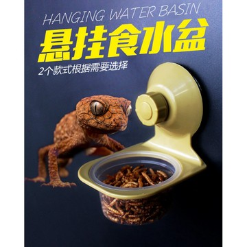 【台灣現貨秒發】樹棲水盆 樹棲食盆 壁掛樹棲兩用食盆 樹棲 睫角 睫角果泥 變色龍 蓋勾亞 巨人 守宮 食盆 水盆 飼料