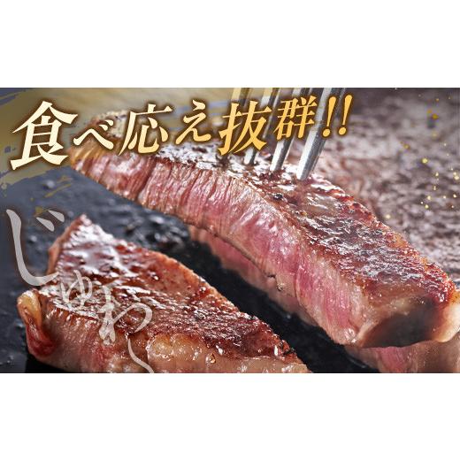 ふるさと納税 宮崎県 日南市 ≪数量限定≫黒毛和牛ロースステーキ(計800g)　肉　牛　牛肉　国産 DA14-23