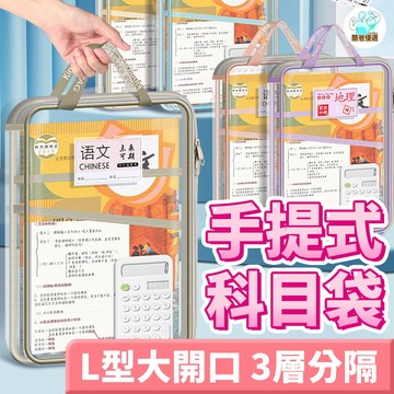 【隔日到貨】升級手提 網紗文件袋 文件袋 科目袋 分類袋 書本收納袋 資料袋 收納袋 檔案袋 科目 補習袋 書本