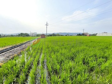 苗栗公館建地+農地環境清幽近交流道B｜苗栗縣公館鄉中義