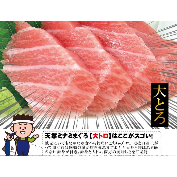 天然南まぐろ ブロック 500g 鮪 マグロ 冷凍 送料無料 ギフト お取り寄せグルメ 食品 産直