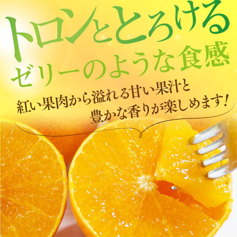 みかん 紅まどんな 愛媛産 秀品 約1.5kg 約6-10玉 M-3L お歳暮 プレゼント 贈り物 贈答 ギフト お土産 常温便