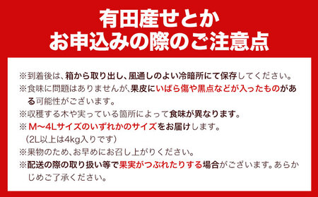 一度は食べていただきたい! 有田産のせとか 青秀以上 約4～5kg （サイズおまかせ） 厳選館 《2024年2月下旬-4月上旬頃より順次出荷》 和歌山県 日高川町 せとか 柑橘 有田産