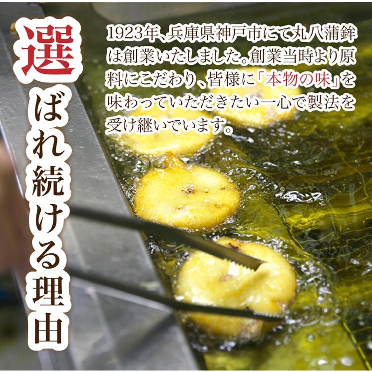 鱧入り 8枚セット 蒲鉾 かまぼこ 蒲鉾詰め合わせ さつま揚げ 丸八蒲鉾 ギフト セット 老舗 お土産 美味しい お取り寄せ 食品 取り寄せ 通販 送料無料 お歳暮2023