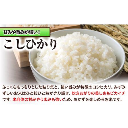 ふるさと納税 令和5年産 新米 青空市きらりの お米 10kg 岡山県産 こしひかり×ひのひかり 青空市きらり《30日以内に発送予定(土日祝除く)》.. 岡山県矢掛町