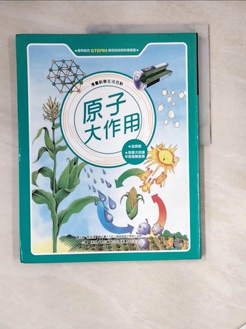 【書寶二手書T3／兒童文學_SHJ】原子大作用_王安正