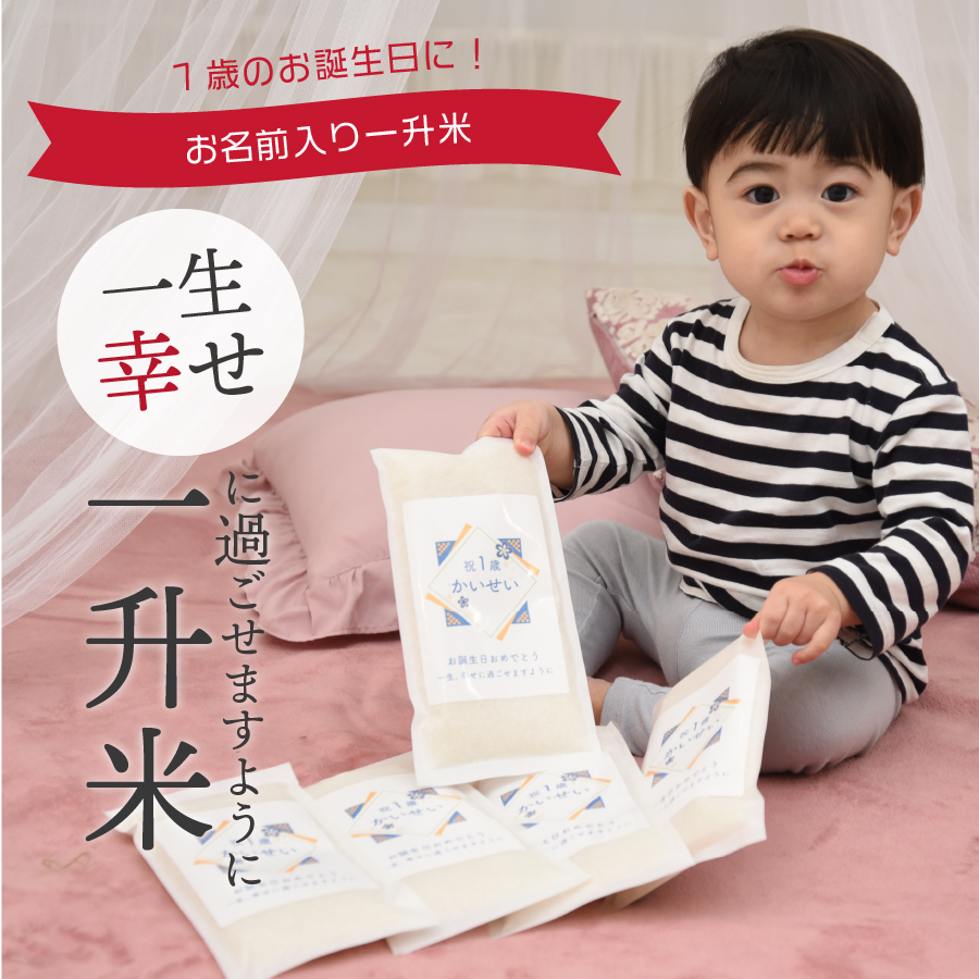 一升米 小分け 文字タイプ 選び取り セット 1歳 誕生日 一升餅 の代わりに 一生米