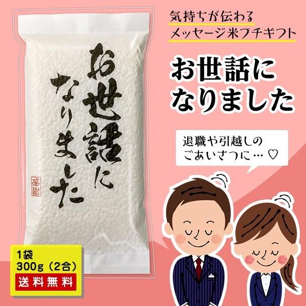 プチギフト 「お世話になりました」 お試し ポイント消化 送料無料 ギフト お米 広島県産 コシヒカリ 300g（2合） ごあいさつ   ※ゆうパケット・日時指定不可