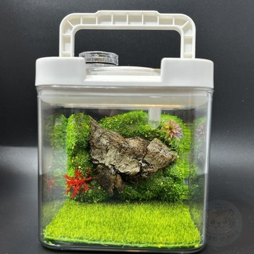 💥限量特價💥飼養盒高透亞克力飼養盒鳴蟲生態盒蛐蛐油葫蘆蟈蟈竹蛉生態盒帶  燈