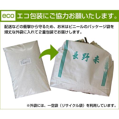 無洗米　長野県産　コシヒカリ　１０ｋｇ（５ｋｇ×２袋）新米　令和５年産　送料無料