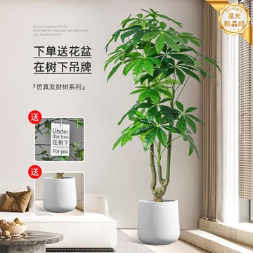 【輕奢造景】仿真發財樹 綠植盆栽 仿真植物 假樹 假盆栽 客廳裝飾 辦公室擺件 北歐風 落地大盆栽 免打理 仿生綠植