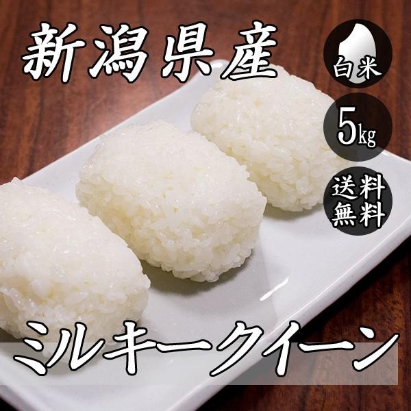 お米 5kg 新潟産 ミルキークイーン 5kg×1袋 送料無料 令和5年産 米 白米