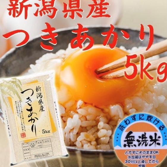 米・穀物 無洗米 新米新潟県産つきあかり白米5キロ令和5年産プレゼント付き 産地直送