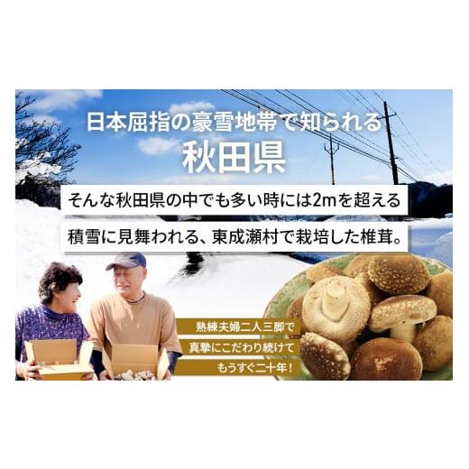 ふるさと納税 秋田県 東成瀬村 菌床生しいたけ（A品）500g 椎茸