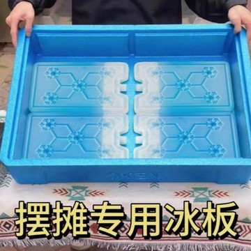 實用好物推薦 可開發票 保冰磚 冰磚 長效保冰 釣魚冰磚 降溫冰寶 露營好物 戶外好物 冰寶 冰桶專用