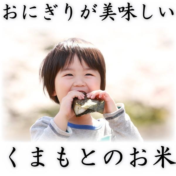 お米 米 10kg 白米 送料無料 富田商店一番人気 熊本県産 ひのひかり あすつく 新米 令和5年産 ヒノヒカリ くまもとのお米 富田商店 とみた商店