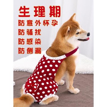 狗狗生理褲母狗女狗姨媽褲安全褲衛生褲經期防騷擾柴犬泰迪防交配
