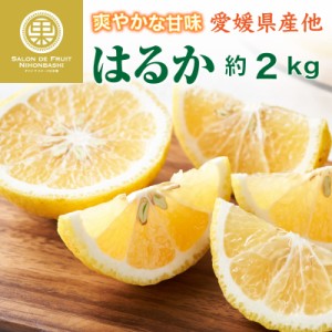 [予約 2024年2月中下旬頃から発送] はるか 約2kg 愛媛県産ほか 果実専用箱 みかん 柑橘 愛媛県のブランド柑橘