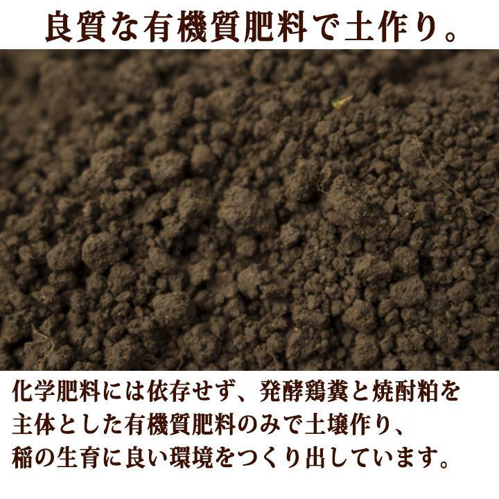 「山形県産 雪若丸」令和4年(2022)産 庄内平野 白米 精米 庄内米 2kg 井上農場