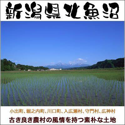 魚沼産コシヒカリ 食べ比べセット 北魚沼産 中魚沼産 南魚沼産 令和5年産 3種類 各1kg 送料無料 （北海道、九州、沖縄除く）