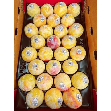 美國 加州 火龍蛋 ｜美國進口水果   4顆組 / 575g+-10%