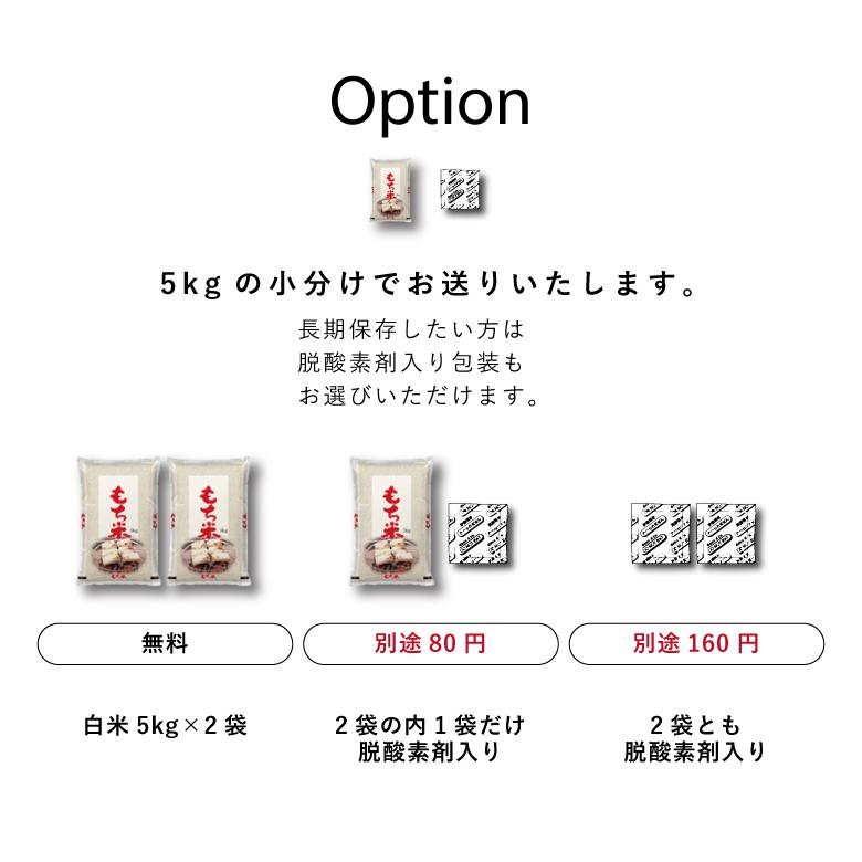 新米 米 もち米 精米10kg ヒヨクモチ 熊本県産 令和5年産 10kg